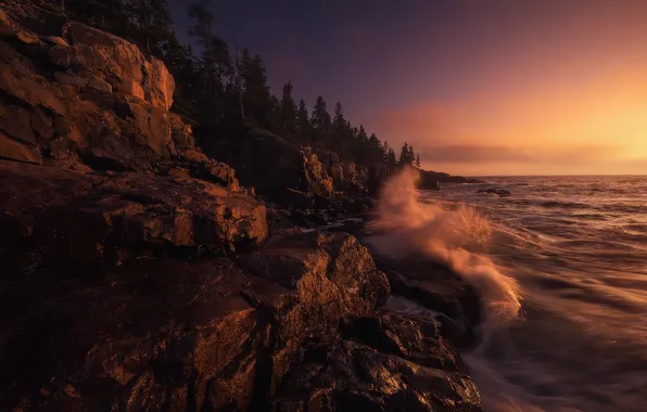 Picture rock, sea, coast, sunset, tree, wave