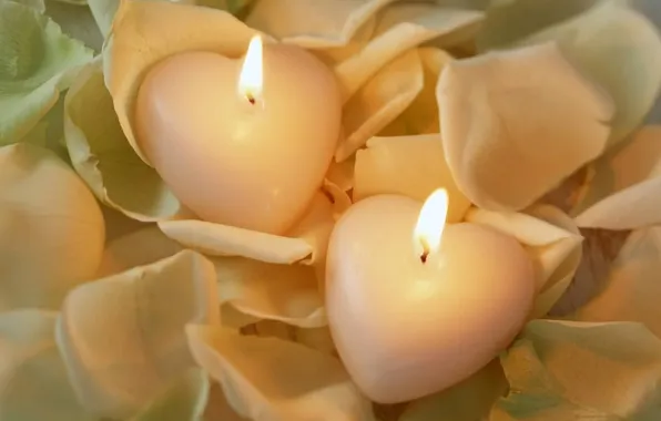 Fire, roses, candles, petals, heart