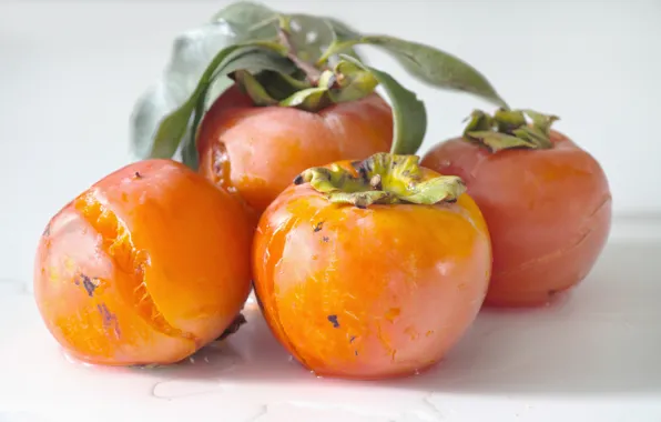 Orange, fruit, fruit, ripe, Wren