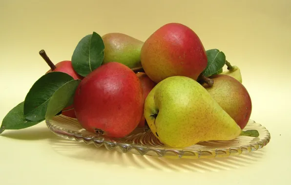 Plate, pear, yellow background