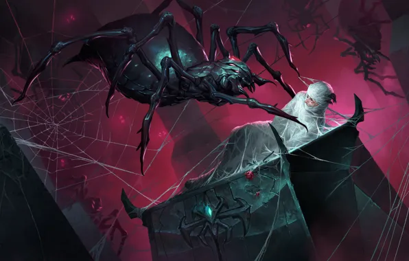 Spiders, web, guy, Legends of Runeterra, confused