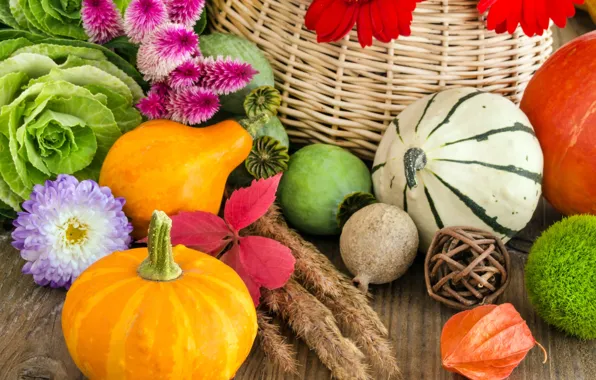 Picture autumn, flowers, basket, pumpkin, vegetables, cabbage