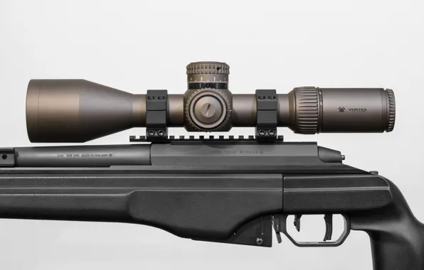 Picture optics, sniper rifle, Sako, TRG