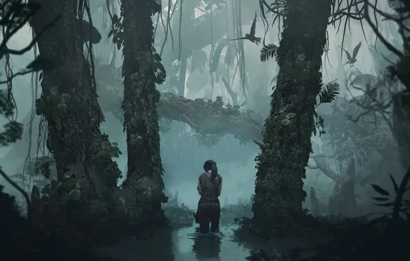 Water, Reflection, Girl, Trees, Birds, Jungle, Square Enix, Lara Croft
