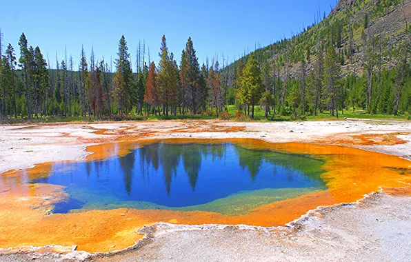 Autumn, the sky, trees, mountains, lake, USA, geyser, Yellowstone National Park
