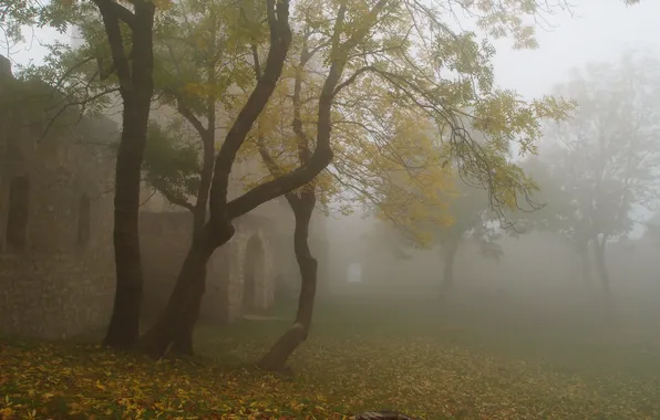 Picture autumn, trees, fog, fortress