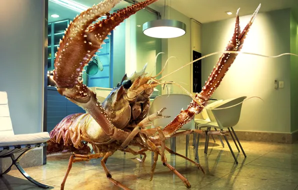 Picture room, shrimp, giant