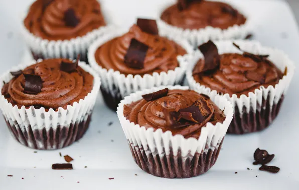 Chocolate, dessert, cakes, chocolate, cupcakes