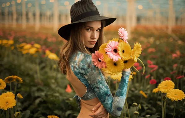 Field, summer, look, girl, flowers, pose, glade, back