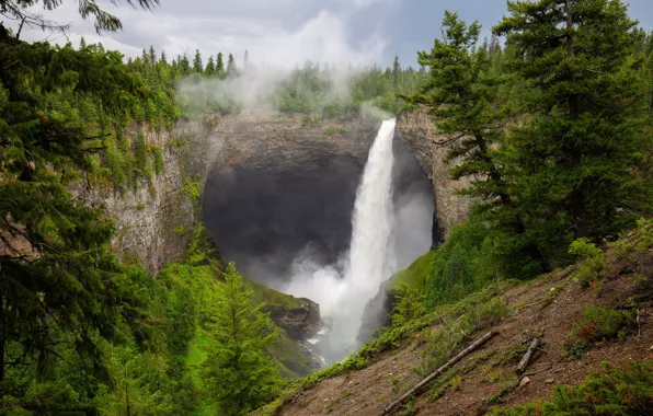 Forest, branches, open, rocks, waterfall, stream, ate, power