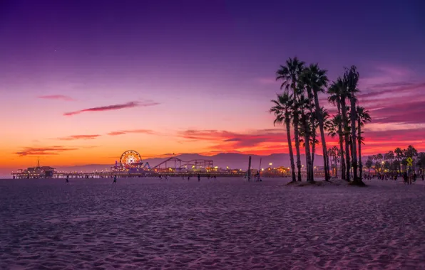Picture beach, palm trees, the ocean, CA, USA, Los Angeles, Santa Monica