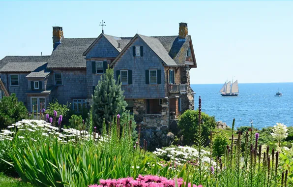 Sea, the sky, the sun, flowers, shore, home, sailboat, horizon