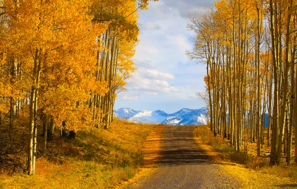 Road, autumn, the sky, trees, mountains, nature, usa, colorado
