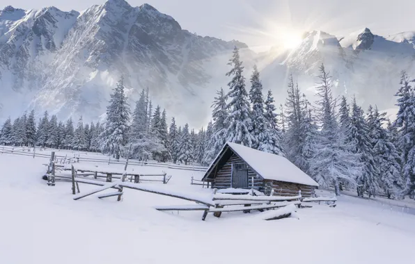 Winter, snow, mountains, tree, the snow, house, hut, landscape