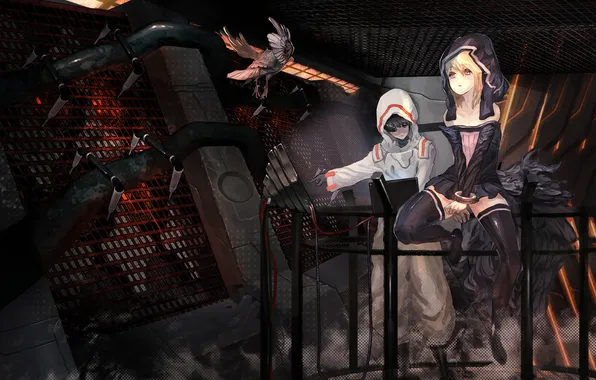 Girl, metal, bird, grille, art, guy, diet sence