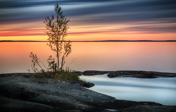 The sky, clouds, sunset, lake, reflection, stone, Bush, pool