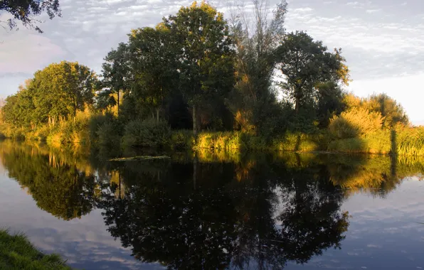 Trees, nature, river, mirror