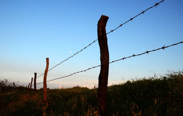Picture the sky, the moon, the fence, field, farm
