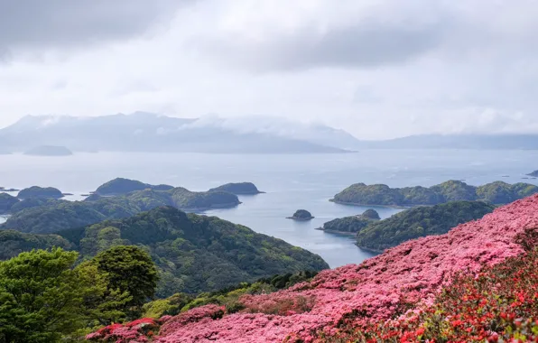 Picture sea, flowers, island, Japan, panorama