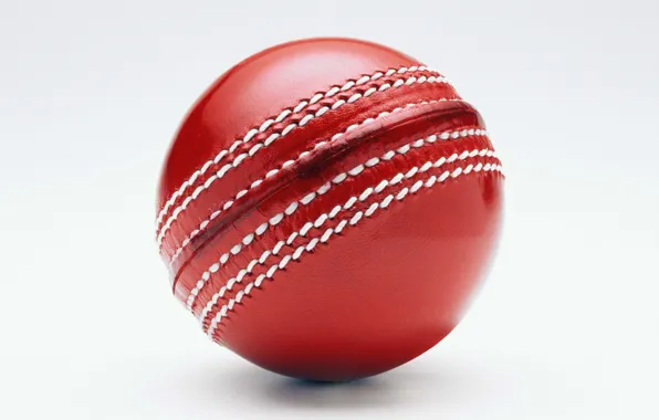 Picture macro, the game, the ball, cricket