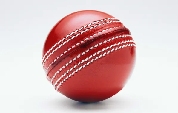 Macro, the game, the ball, cricket