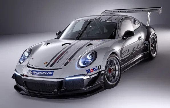911, Porsche, 2013, GT3 Cup