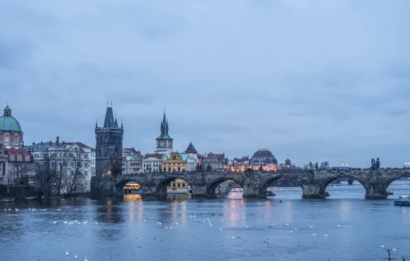Picture water, birds, evening, Prague, architecture, cityscape, ducks, cloudy