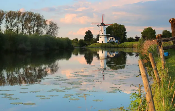 The sky, grass, clouds, light, trees, lake, pond, reflection