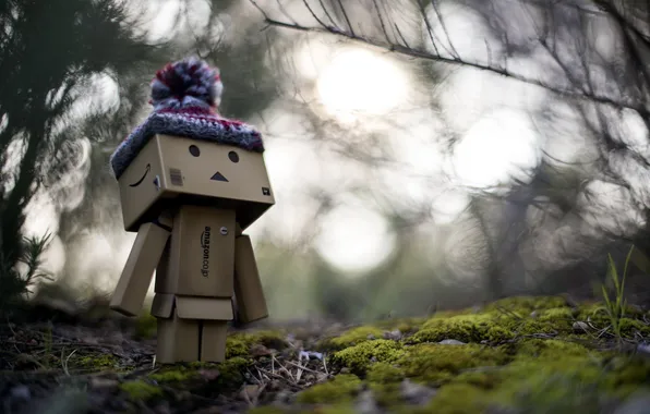 Box, forest, Danbo