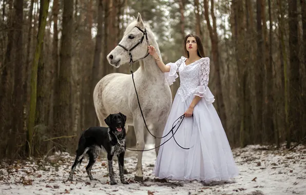 Girl, horse, dog