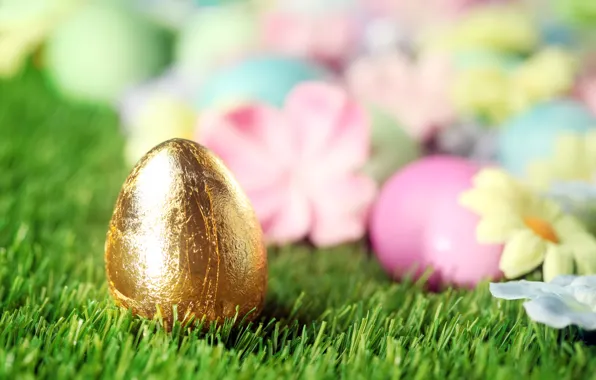 Grass, flowers, Easter, flowers, spring, Easter, eggs, decoration