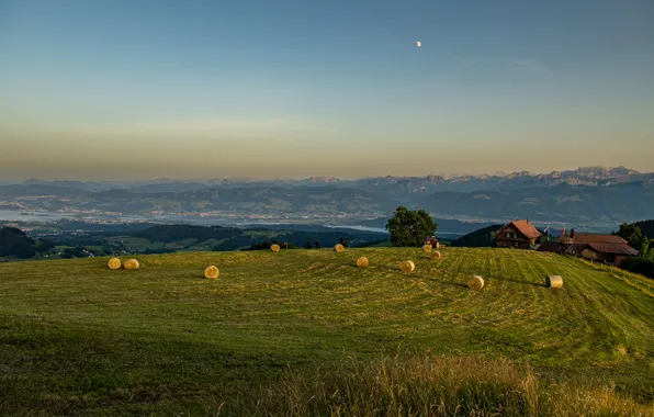 Field, the sky, mountains, the moon, dal, village, hay, tractor