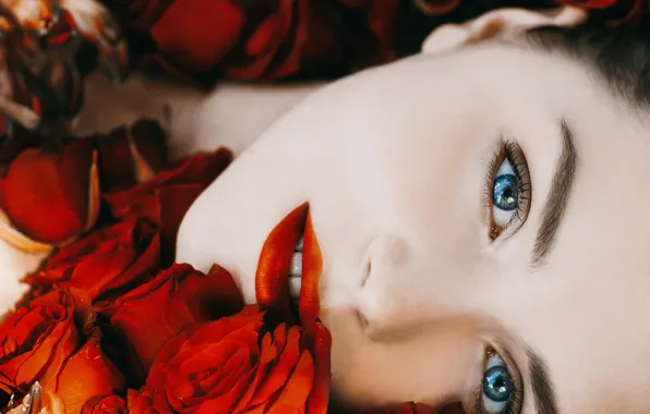 Flowers, red, face, portrait, roses