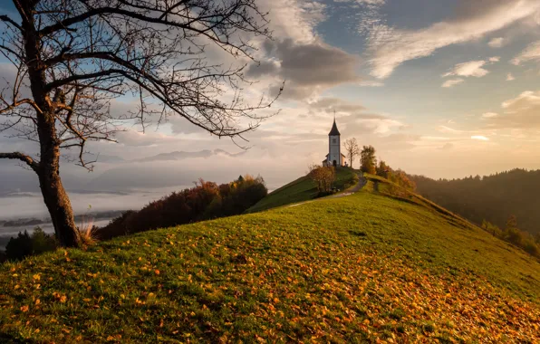 Autumn, leaves, tree, hill, Church, Slovenia