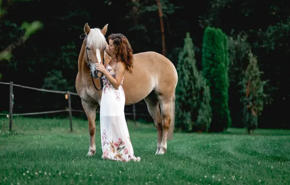 Greens, grass, girl, trees, nature, horse, dress, hairstyle