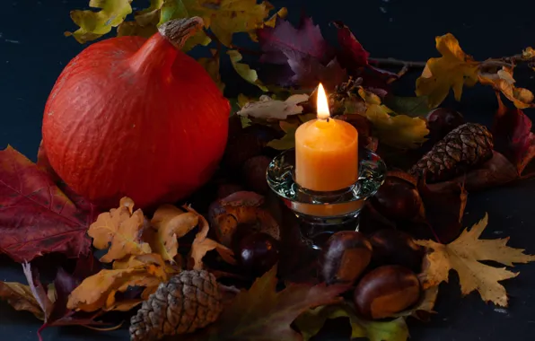 Picture autumn, branches, the dark background, flame, candles, fruit, pumpkin, bumps