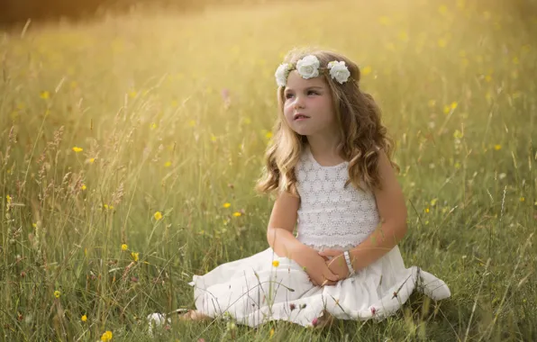 Picture mood, meadow, girl, wreath