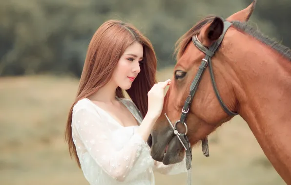 Look, face, girl, nature, face, background, each, horse
