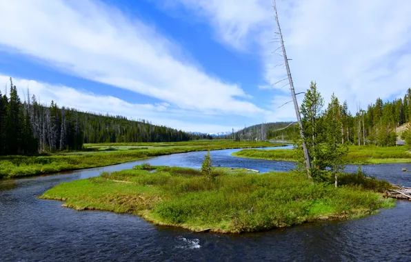 Picture the sky, grass, clouds, trees, mountains, river, island, USA