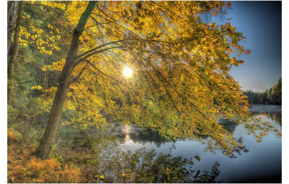 Autumn, trees, lake, New Hampshire, New Hampshire, Nashua, Nashua
