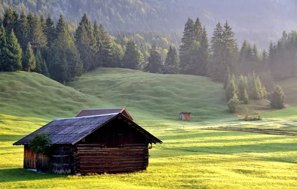 Picture forest, grass, mountains, nature, slope, house