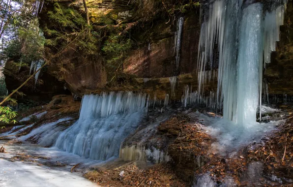 Ice, trees, rocks, waterfall, USA, Kentucky, Wolfe
