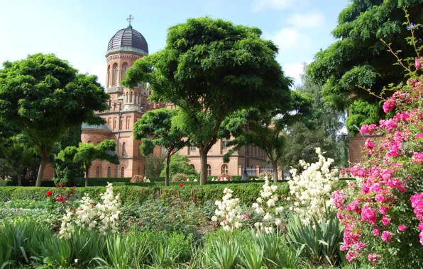 Grass, trees, flowers, garden, Cathedral, temple, Ukraine, the bushes