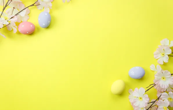 Picture flowers, background, eggs, spring, Easter, blossom, flowers, spring