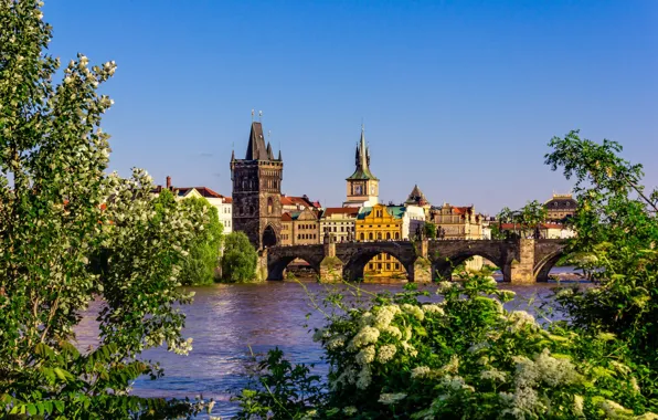River, spring, Prague, Czech Republic, Vltava, Charles bridge