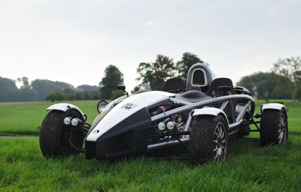 Picture style, car, Ariel Atom, on the basis of, exoskeleton