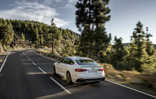 Road, Audi, speed, rear view, RS5, Sportback, RS 5, 2020