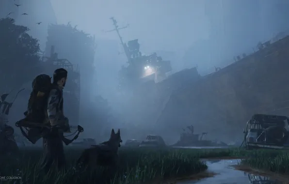 Fog, stream, ship, dog, Breeze in monochrome night