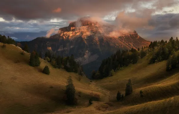 Forest, the sky, clouds, mountains