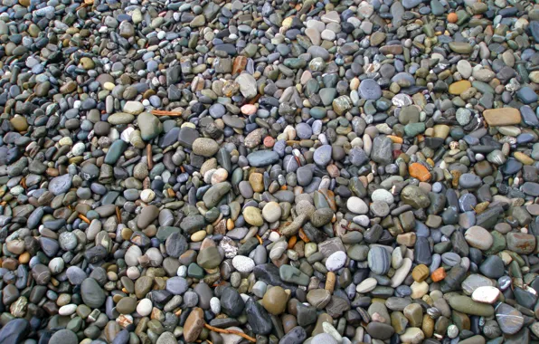 Beach, Shore, Stones, Pebbles